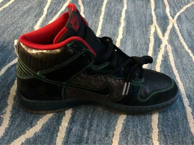 2008 nike dunk sb 