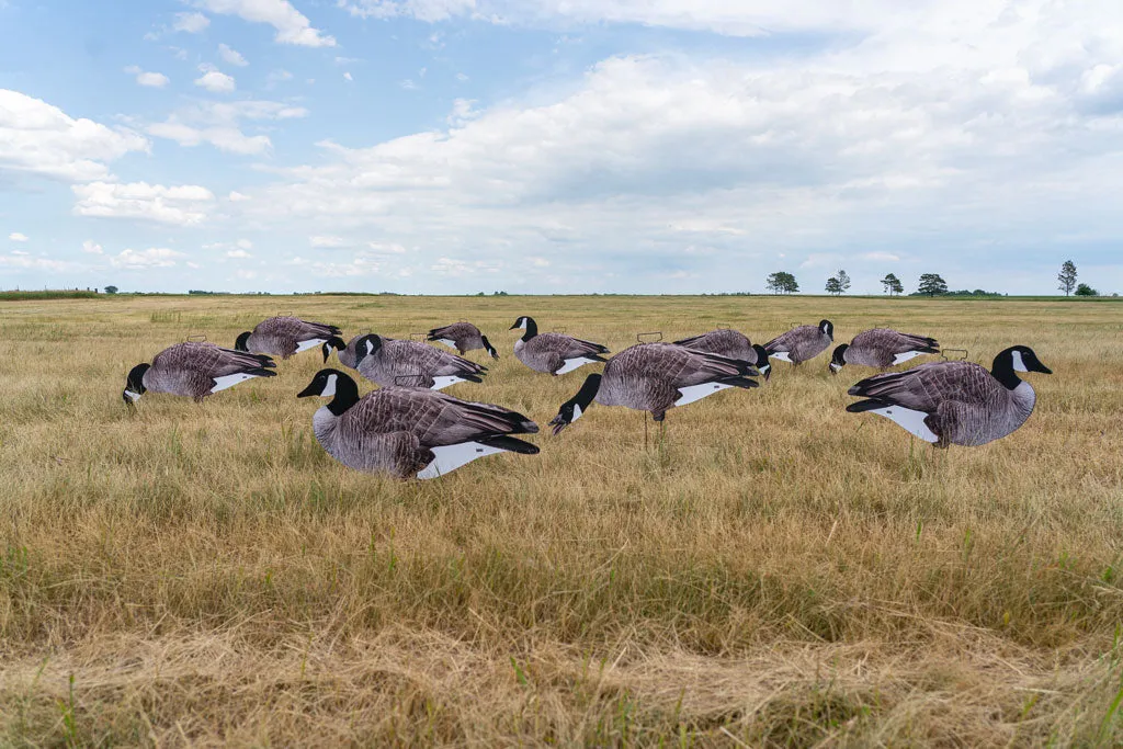 GHG Pro-Grade Silhouette Canada Goose Decoys