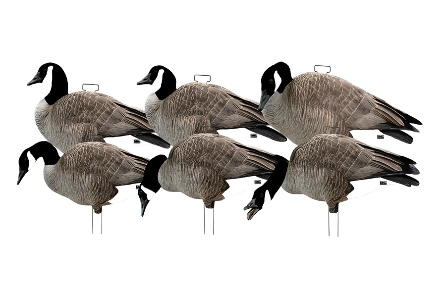 GHG Pro-Grade Silhouette Canada Goose Decoys