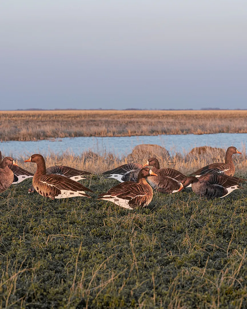 GHG Pro-Grade Silhouette Canada Goose Decoys