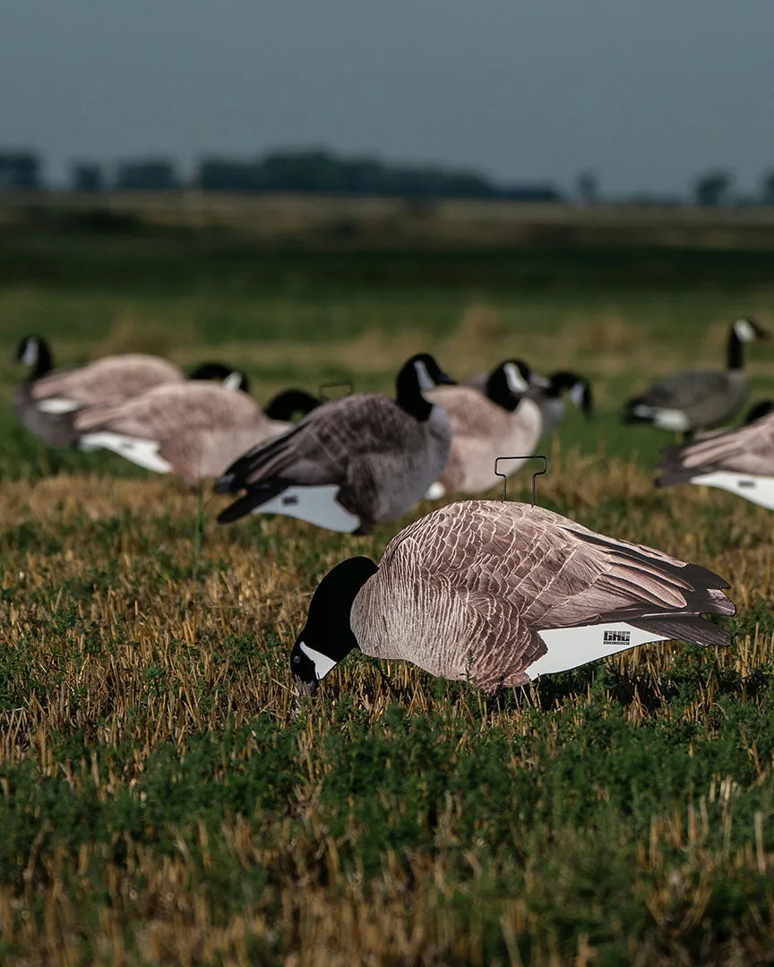 GHG Pro-Grade Silhouette Canada Goose Decoys