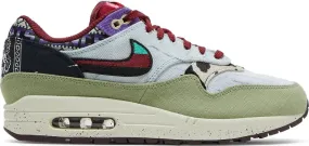 Nike Air Max 1 SP Concepts Mellow