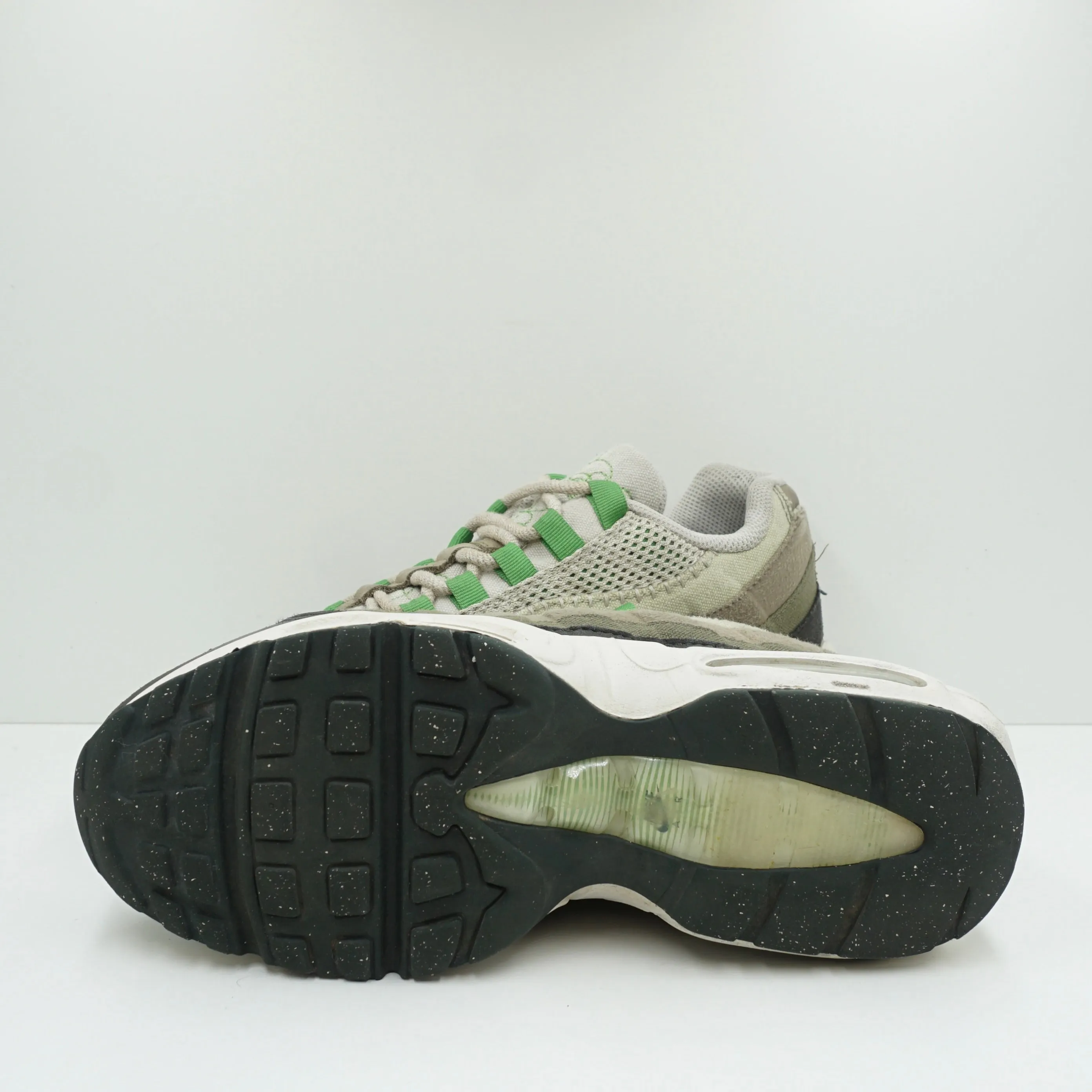 Nike Air Max 95 Earth Day (W)