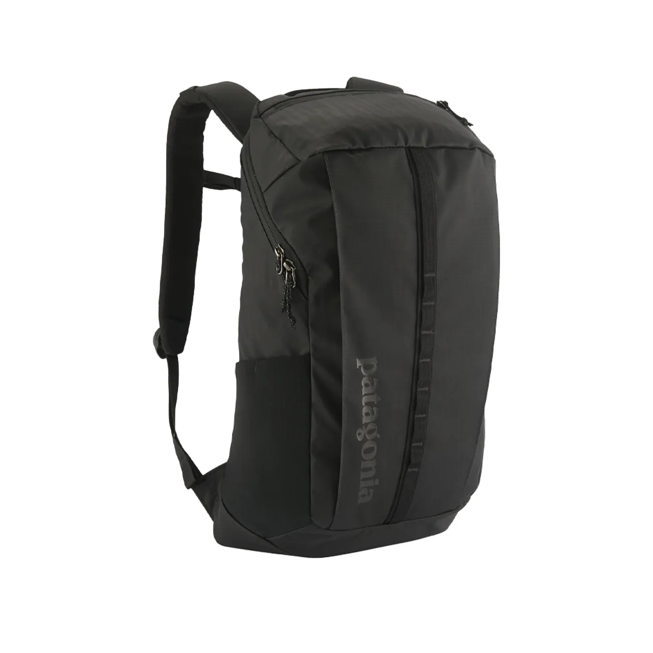 Patagonia Black Hole Pack 25L (Black)