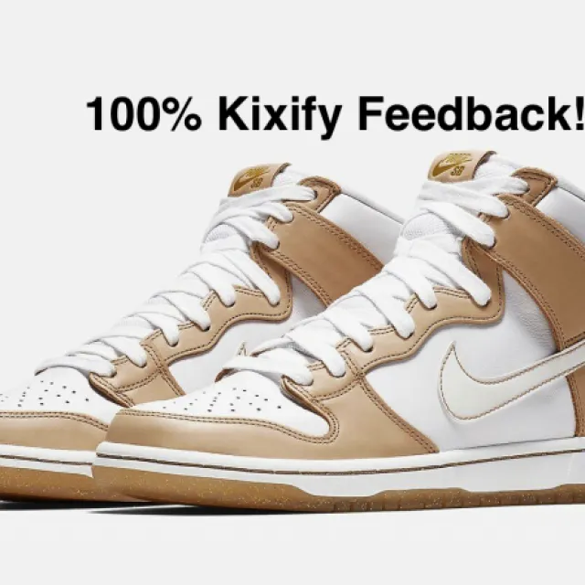 Premier x nike sb dunk high win some lose som