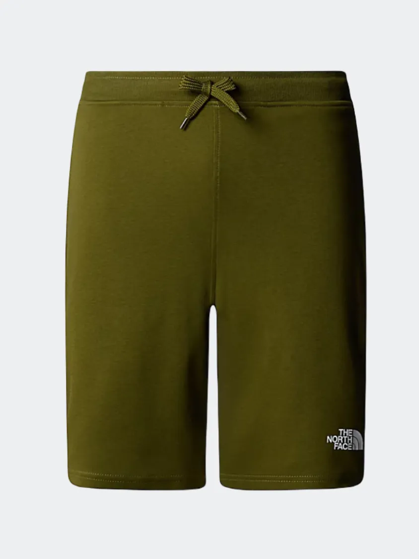 The North Face Graphic Light Men Lifestyle Short Forest Olive