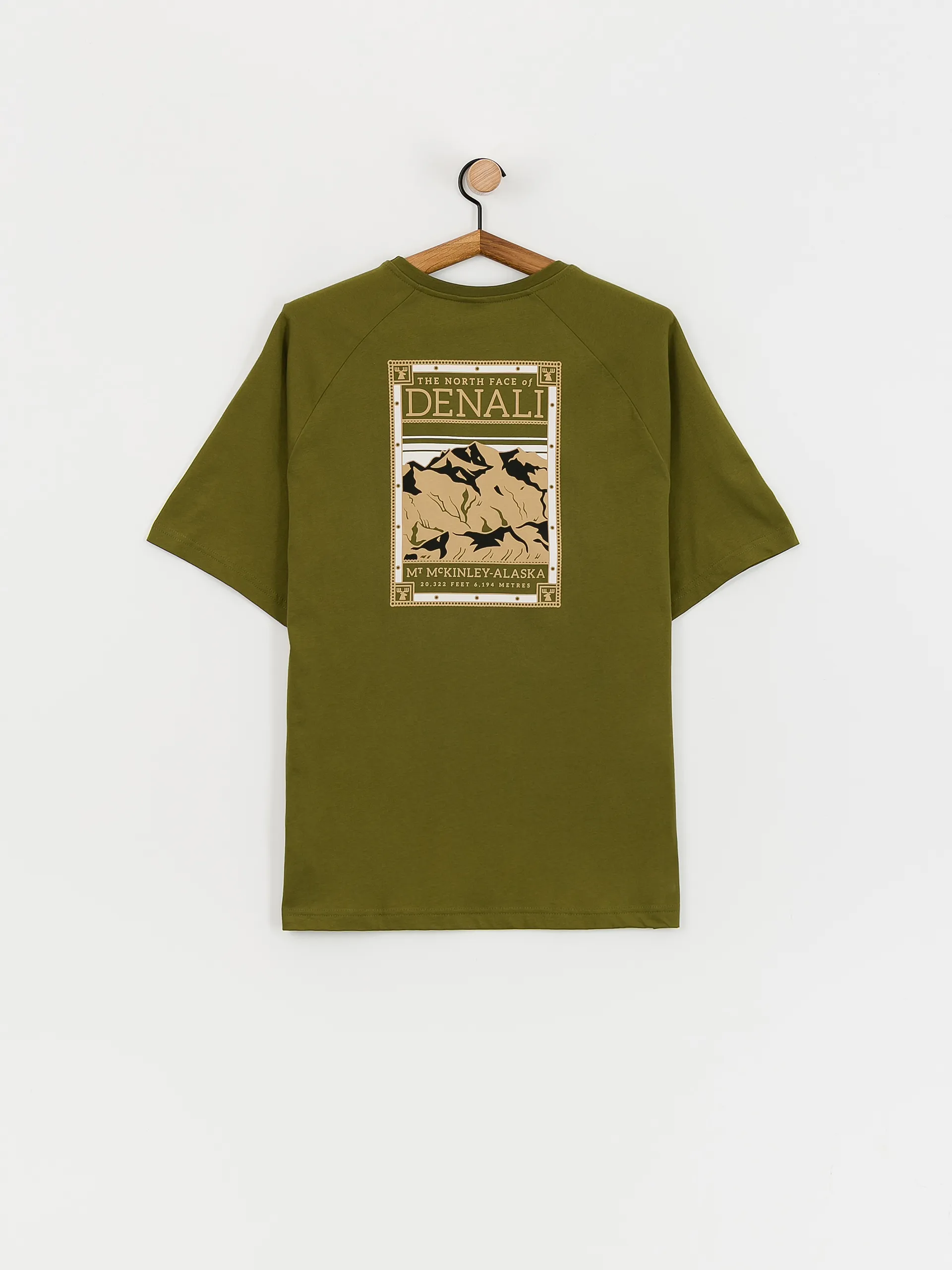 The North Face North Faces T-shirt (forest olive)