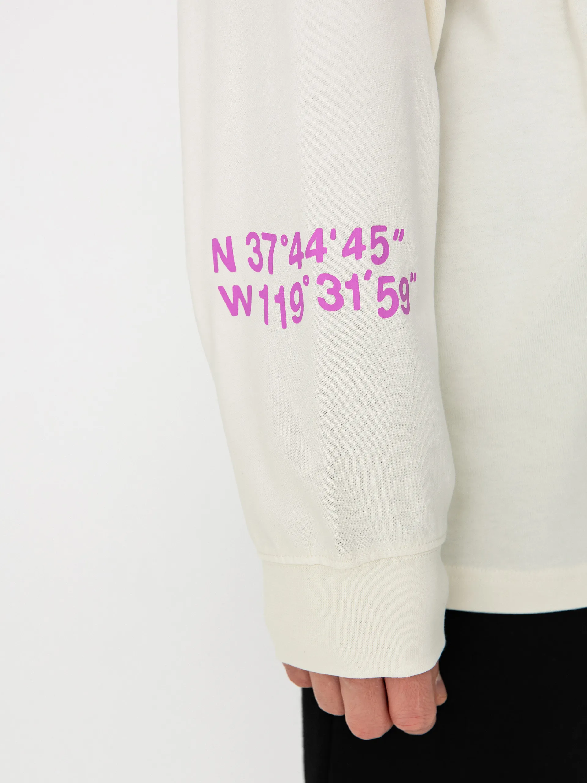 The North Face Nse Graphic Longsleeve (white dune)