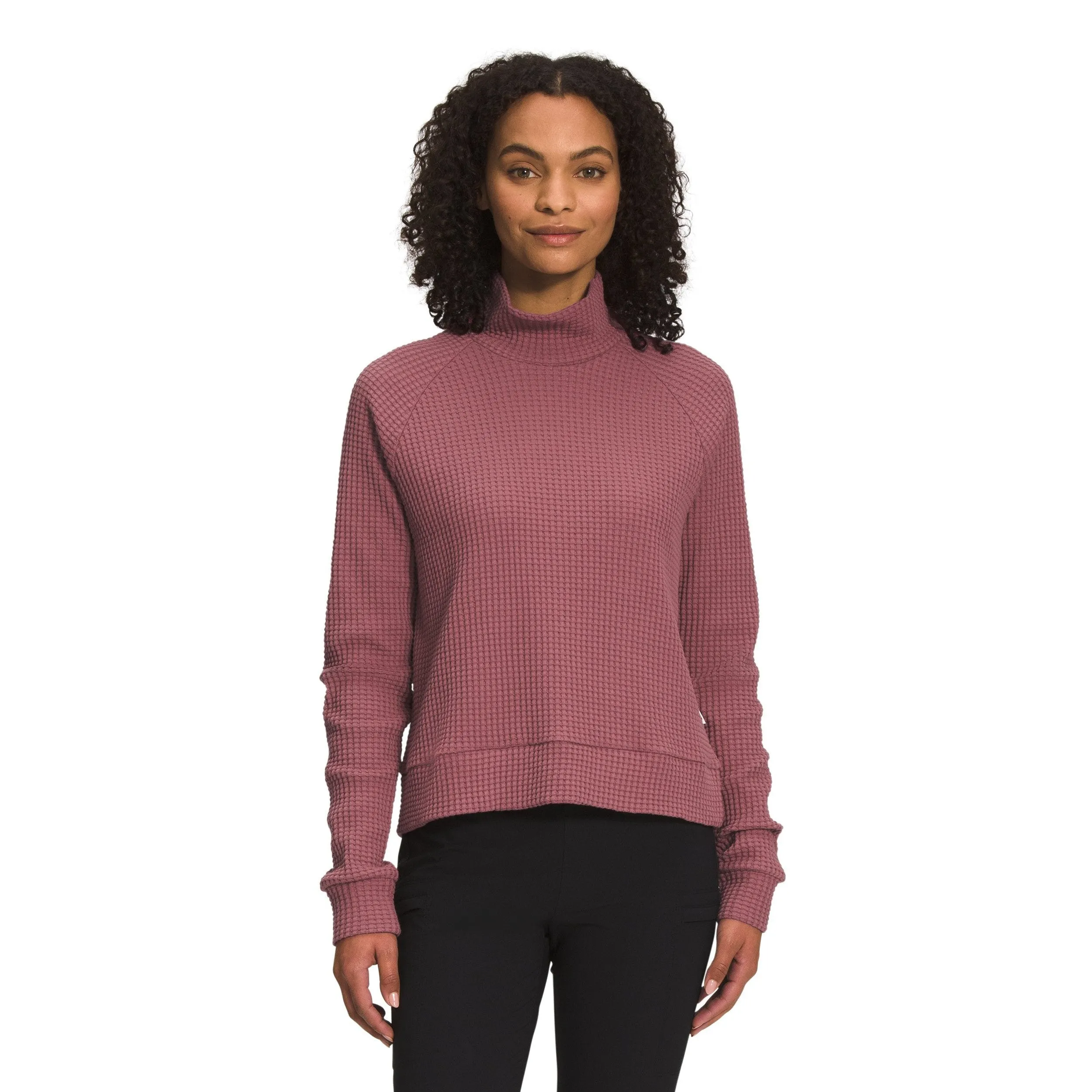 The North Face Women's Long-Sleeve Mock Neck Chabot