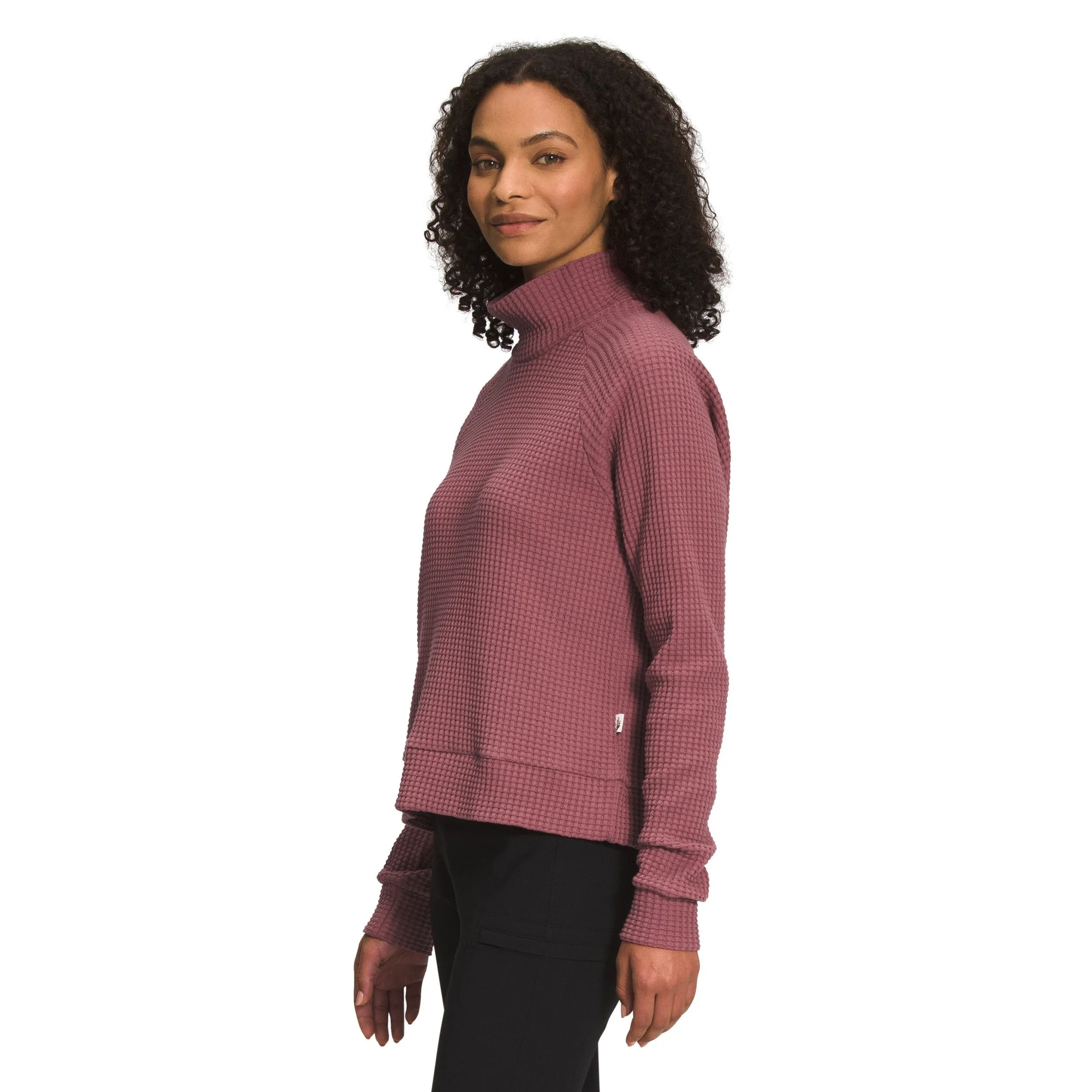 The North Face Women's Long-Sleeve Mock Neck Chabot