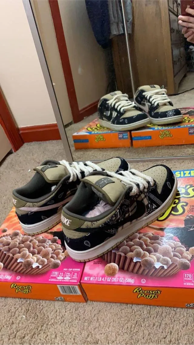 Travis scott x nike sb dunk low